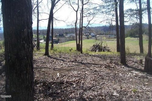 4 Flat Creek Rd, Sevierville, TN, 37876 | Card Image
