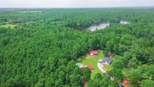 419 An County Road 385, Palestine, TX, 75801-1853 | Card Image