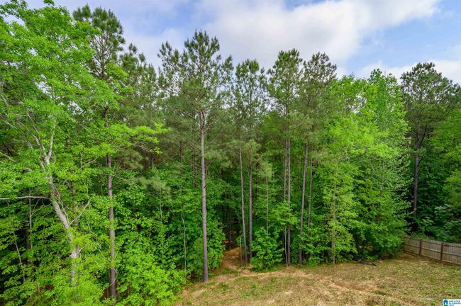 1025 Willow Branch Trl, House other with 4 bedrooms, 5 bathrooms and null parking in CHELSEA AL | Image 54