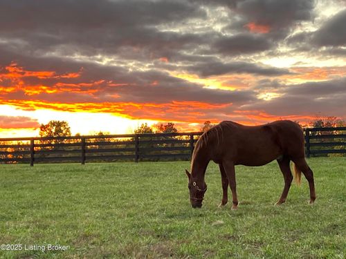 11 Equestrian Lakes Ln, Finchville, KY, 40022 | Card Image