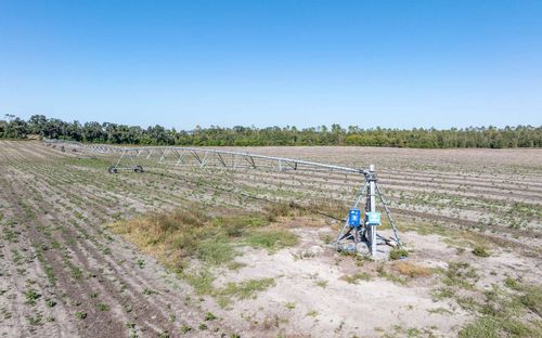 TBD Ne Daisy St, Madison, FL, 32340 | Card Image