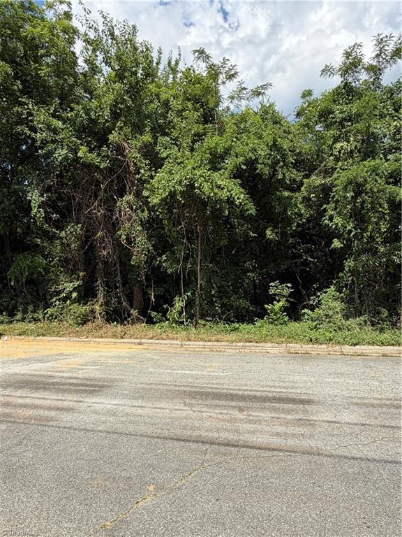 Land in Greensboro 3