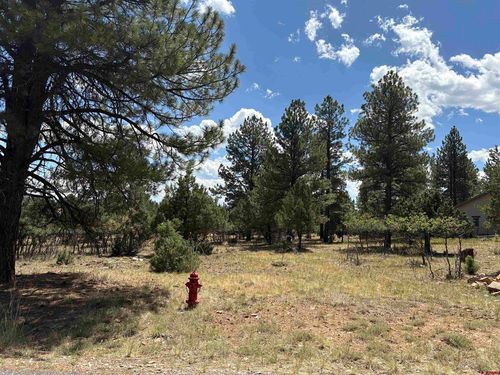 326 Bear Cub Dr, Ridgway, CO, 81432 | Card Image