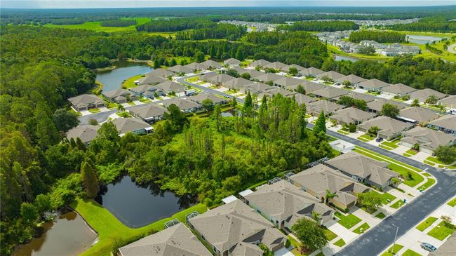 31940 Stillmeadow Dr, House other with 3 bedrooms, 2 bathrooms and null parking in WESLEY CHAPEL FL | Image 59