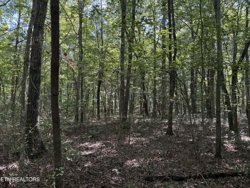 11 Jump Off Pl, Monterey, TN, 38574-7001 | Card Image