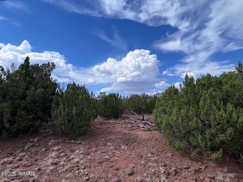 000 Antelope Dr, Show Low, AZ, 85901 | Card Image