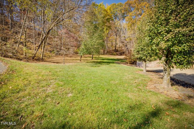 246 Worthington Dr, House other with 6 bedrooms, 6 bathrooms and null parking in Kingsport TN | Image 75