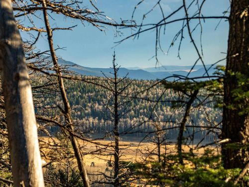 1306 Pleasant Valley Overlook, Angel Fire, NM, 87710 | Card Image