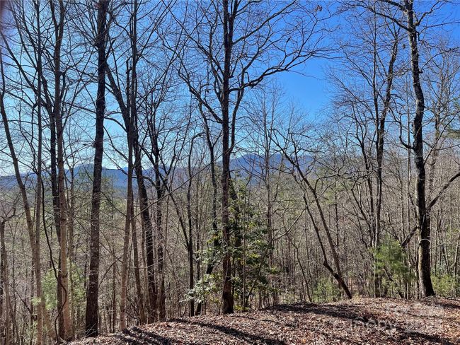 0000 Pine Log Rd, Home with 0 bedrooms, 0 bathrooms and null parking in Warne NC | Image 21