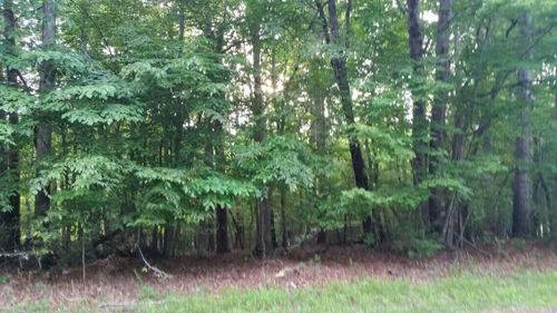 Lot 1 Mallard Point Rd, Wirtz, VA, 24184-4654 | Card Image