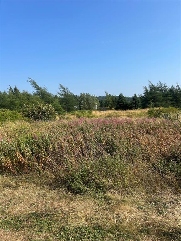 Land in Roaches Line