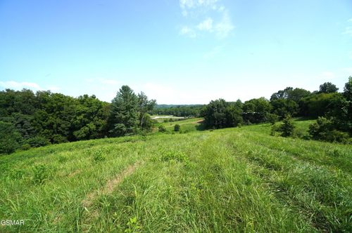 0 Old Greeneville Hwy, Parrottsville, TN, 37843 | Card Image