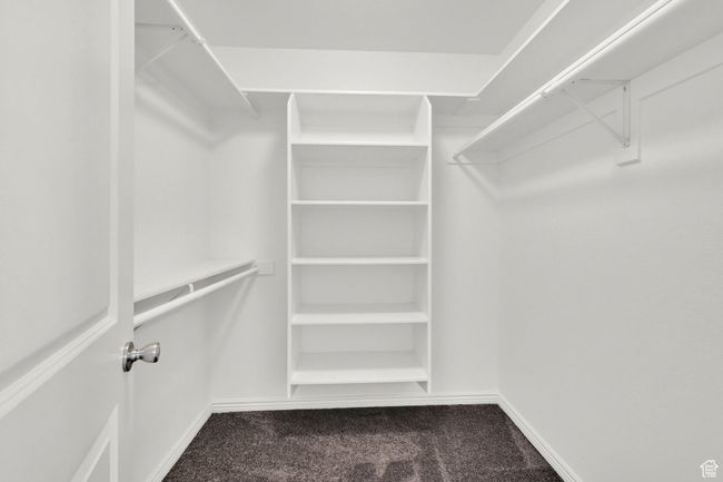 Spacious closet featuring carpet | Image 13