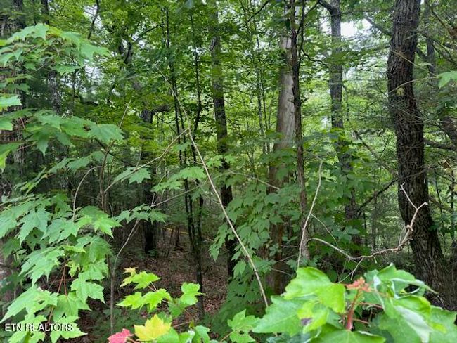 2808 Grist Mill Ln, Home with 0 bedrooms, 0 bathrooms and null parking in Sevierville TN | Image 7