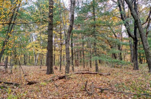 TBD 241st Ave Ne, Stacy, MN, 55079 | Card Image