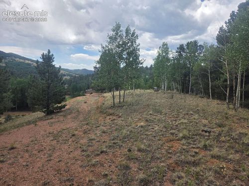 1124 Yorktown Dr, Cripple Creek, CO, 80813-9517 | Card Image