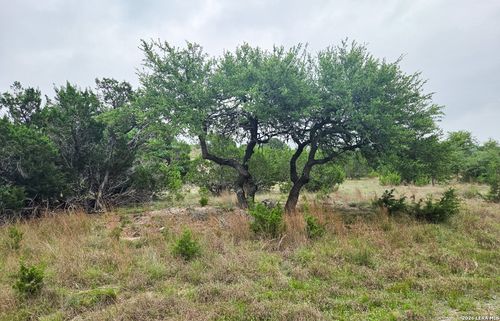 44 Falling Oak Trl, Blanco, TX, 78606 | Card Image