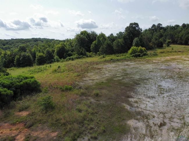 0000 State Highway 43 E, Home with 0 bedrooms, 0 bathrooms and null parking in Tatum TX | Image 10