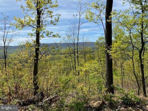 Lot 6 Polecat Hollow Rd, Hopewell, PA, 16650 | Card Image