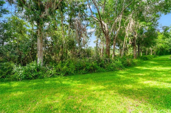 104 - 1936 Heron Cove Dr, Condo with 2 bedrooms, 2 bathrooms and null parking in Lutz FL | Image 27
