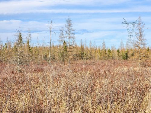 TBD Town Line Rd, Iron, MN, 55751 | Card Image