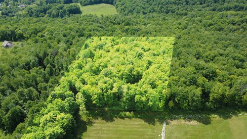 244 Sam Webb Road, Fairfax, VT, 05454 | Card Image