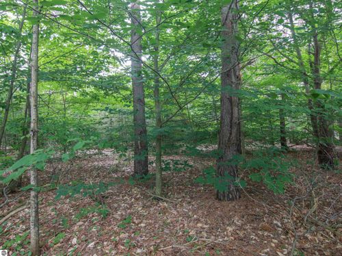 000 Winding Creek Dr, Bear Lake, MI, 49614 | Card Image