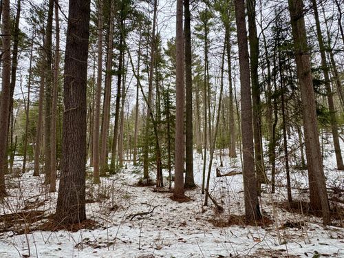 1.2AC Eagle Rd, Lake Tomahawk, WI, 54539 | Card Image