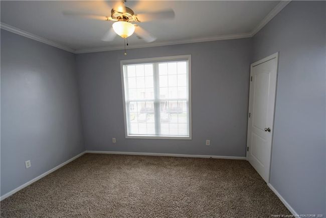Photo 4 | Image 4