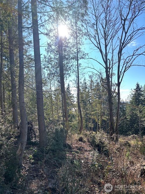 1 Yashi Rd, Brinnon, WA, 98320 | Card Image