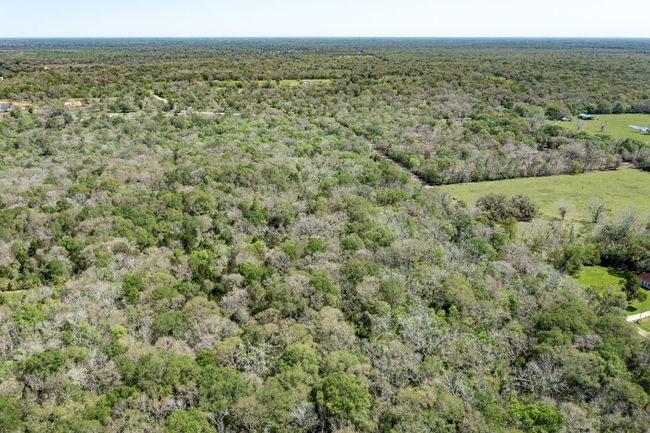 0 County Road 321, Home with 0 bedrooms, 0 bathrooms and null parking in Sweeny TX | Image 11
