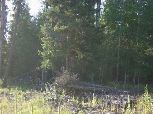 NHN Lot 10 Davis Creek Road, Libby, MT, 59923 | Card Image