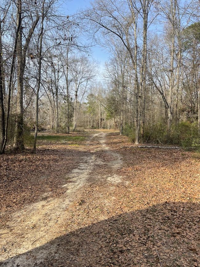 11380 Nashville Enigma Rd, House other with 4 bedrooms, 5 bathrooms and 3 parking in Enigma GA | Image 34
