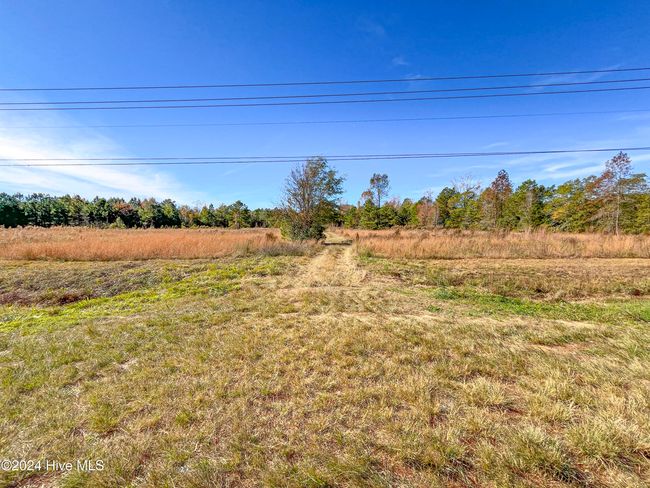 4780 S Us 117 Hwy, Home with 0 bedrooms, 0 bathrooms and null parking in Teachey NC | Image 25