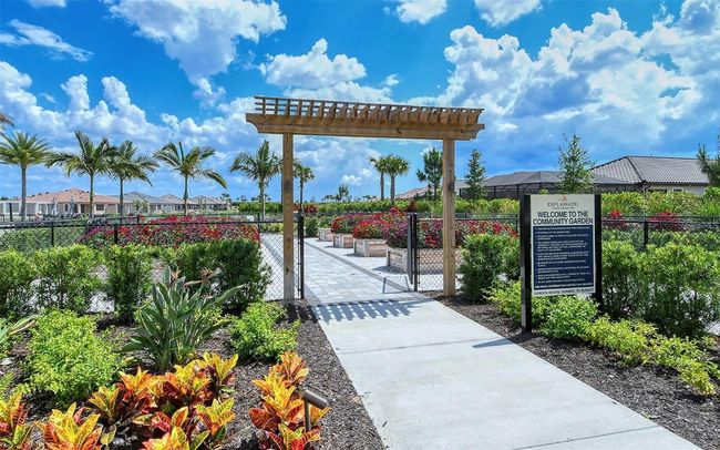 Community Garden | Image 32