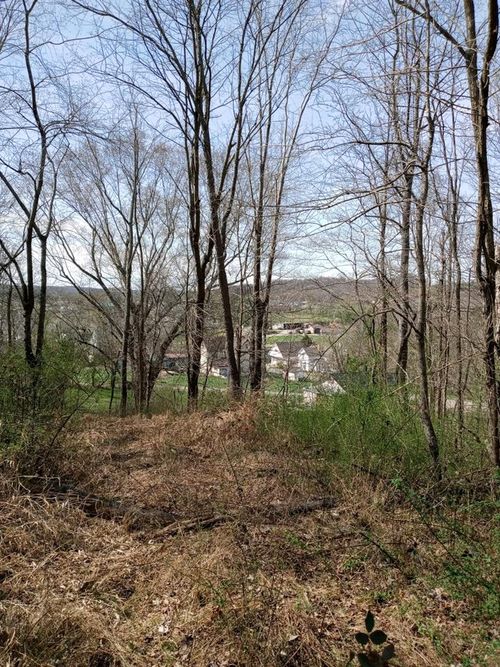 0 Essman Sugar Camp Rd, South Webster, OH, 45682 | Card Image