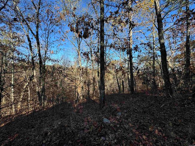 00 Calico Rd, Home with 0 bedrooms, 0 bathrooms and null parking in Clinton AR | Image 36