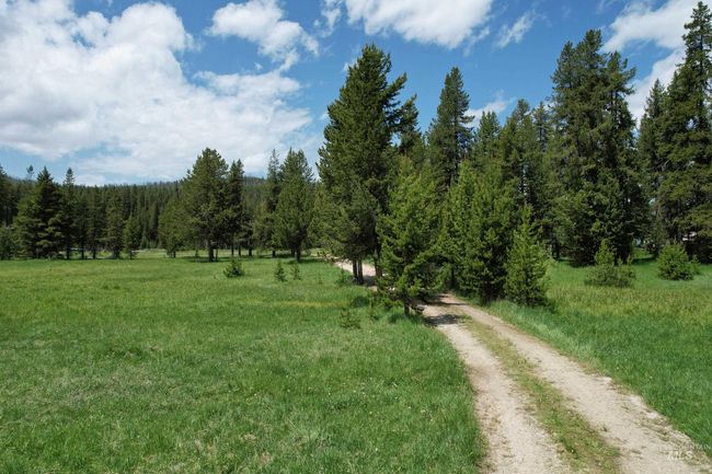 View of road with a forest view | Image 21