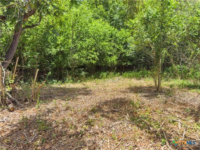 1140 N Hackberry Ave, Home with 0 bedrooms, 0 bathrooms and null parking in Luling TX | Image 4