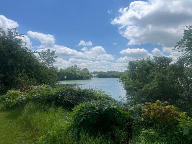 510 3 Rd Ave W, Condo with 0 bedrooms, 0 bathrooms and null parking in Alexandria MN | Image 5