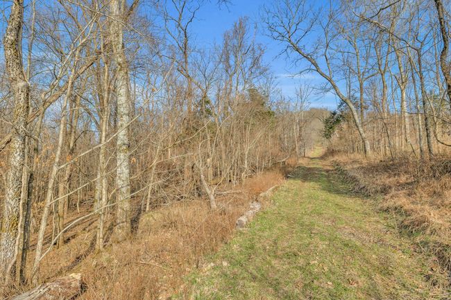 0 Fishing Ford Rd, Home with 0 bedrooms, 0 bathrooms and null parking in Belfast TN | Image 28