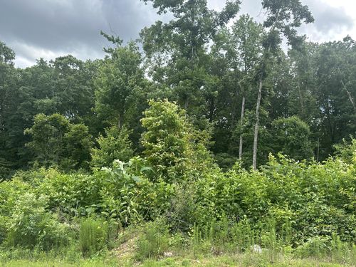 129 County Road 155, Riceville, TN, 37370-3008 | Card Image