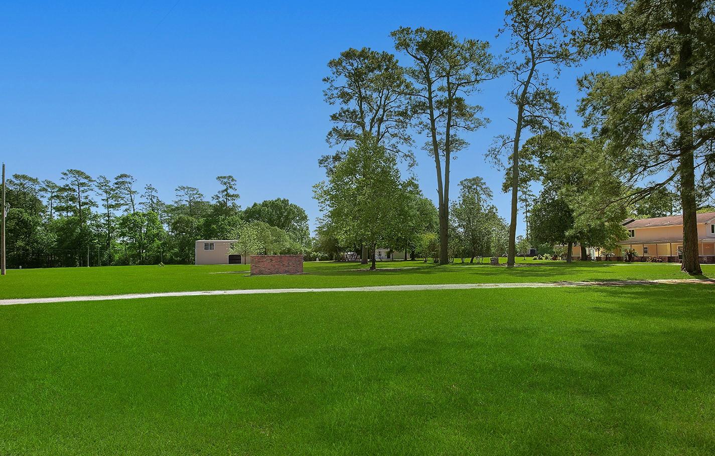 Farm in Spring 5