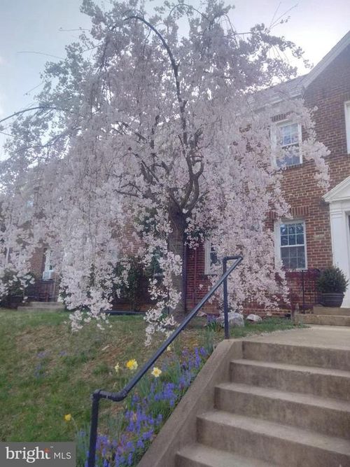 1-2228 40th St Nw, WASHINGTON, DC, 20007-1738 | Card Image