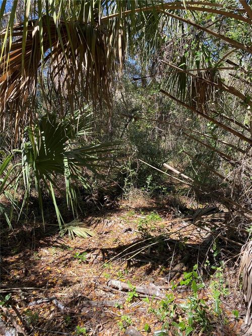 2519 W Plumtree Ln, DUNNELLON, FL, 34433 | Card Image
