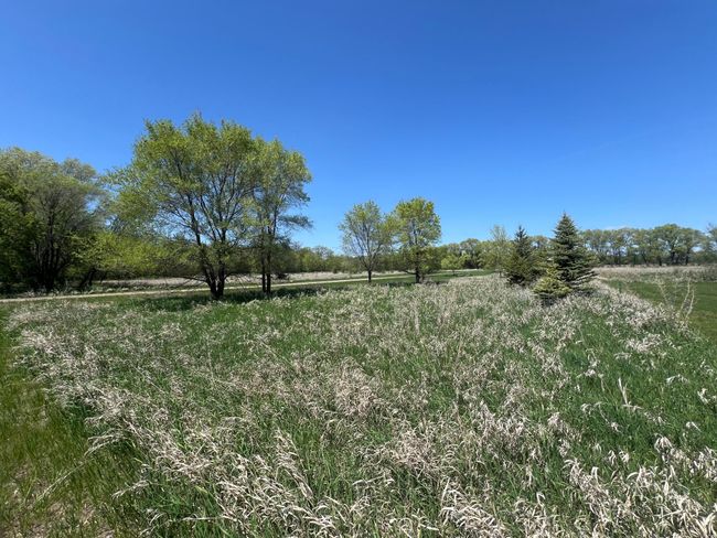 Prairie Land | Image 54