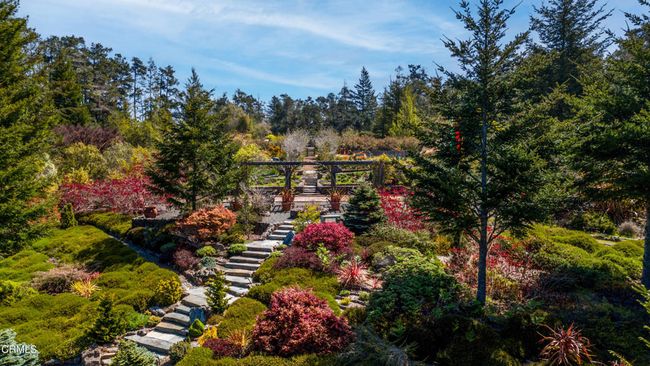 Garden | Image 42