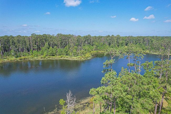 25417 County Road 459, Home with 0 bedrooms, 0 bathrooms and null parking in Broaddus TX | Image 4