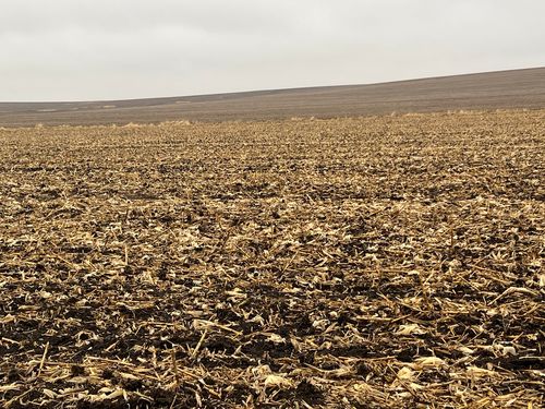 00 Allens Grove Rd, Dixon, IA, 52745 | Card Image