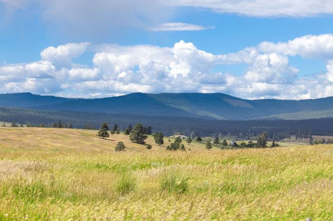 LOT-2C - NHN Lake Mary Ronan Road, Home with 0 bedrooms, 0 bathrooms and null parking in Dayton MT | Image 8